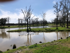 Training Grounds,  Giddings