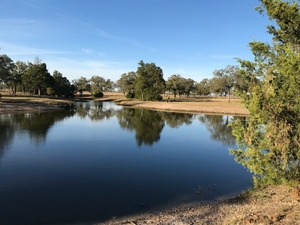 Natural Pond Giddings