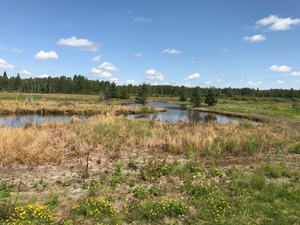 Training Grounds, Blackduck, MN