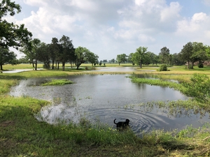 Natural Pond looking into Back Tech Pond, Giddings