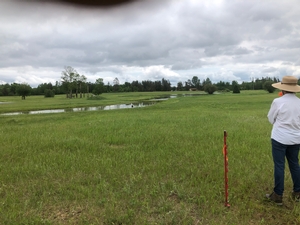 Pond, Bemidji, MN